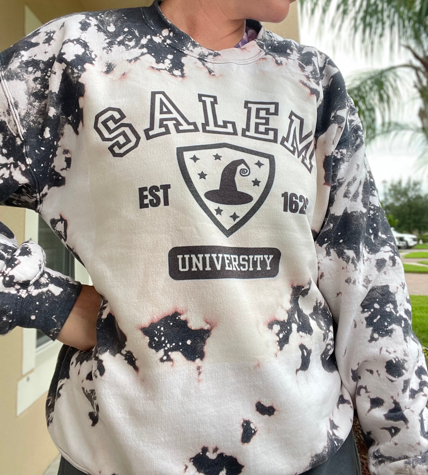 Salem University Sweatshirt Crewneck