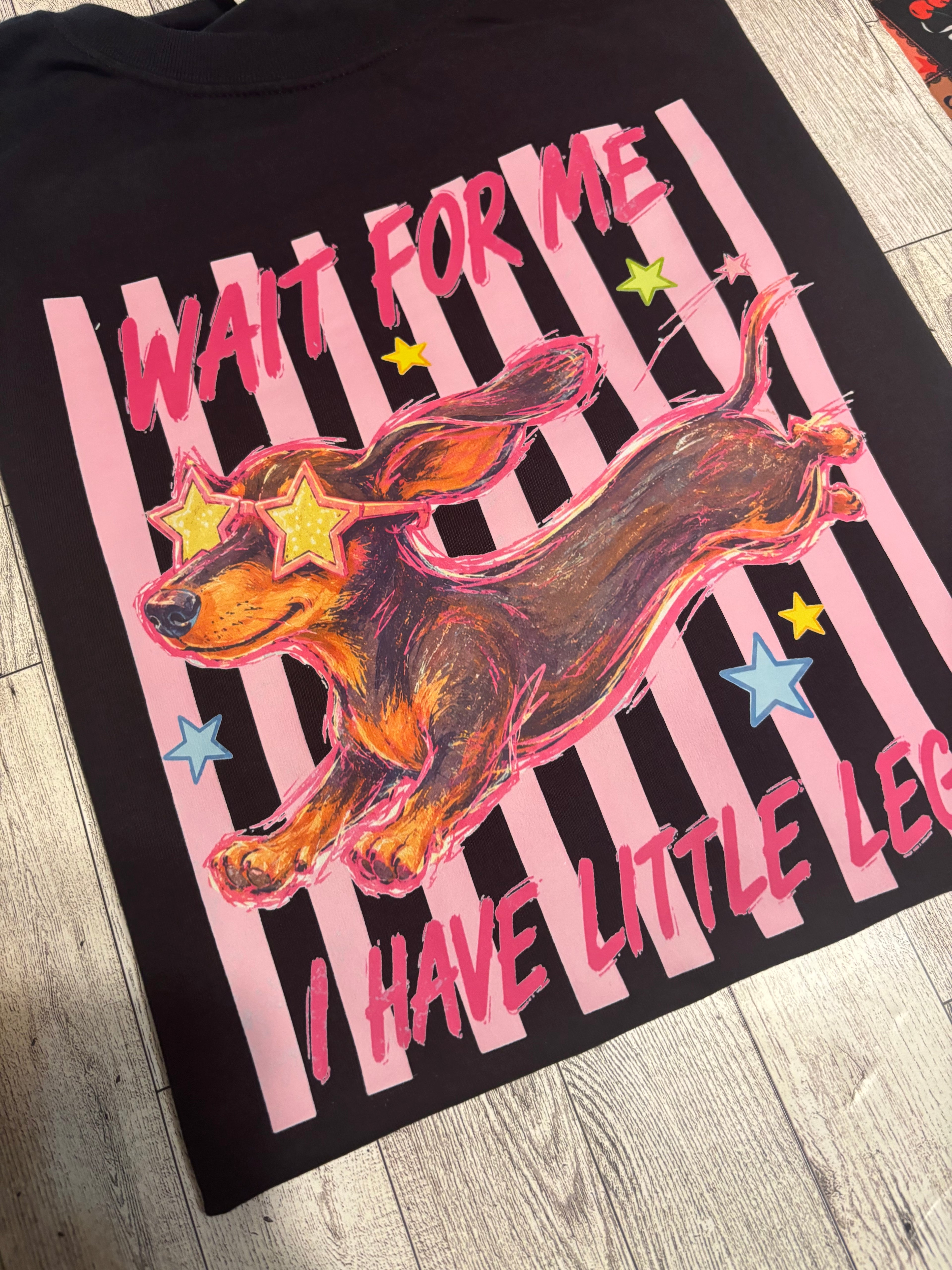 Wait for me I have little legs dachshund dog tee shirt