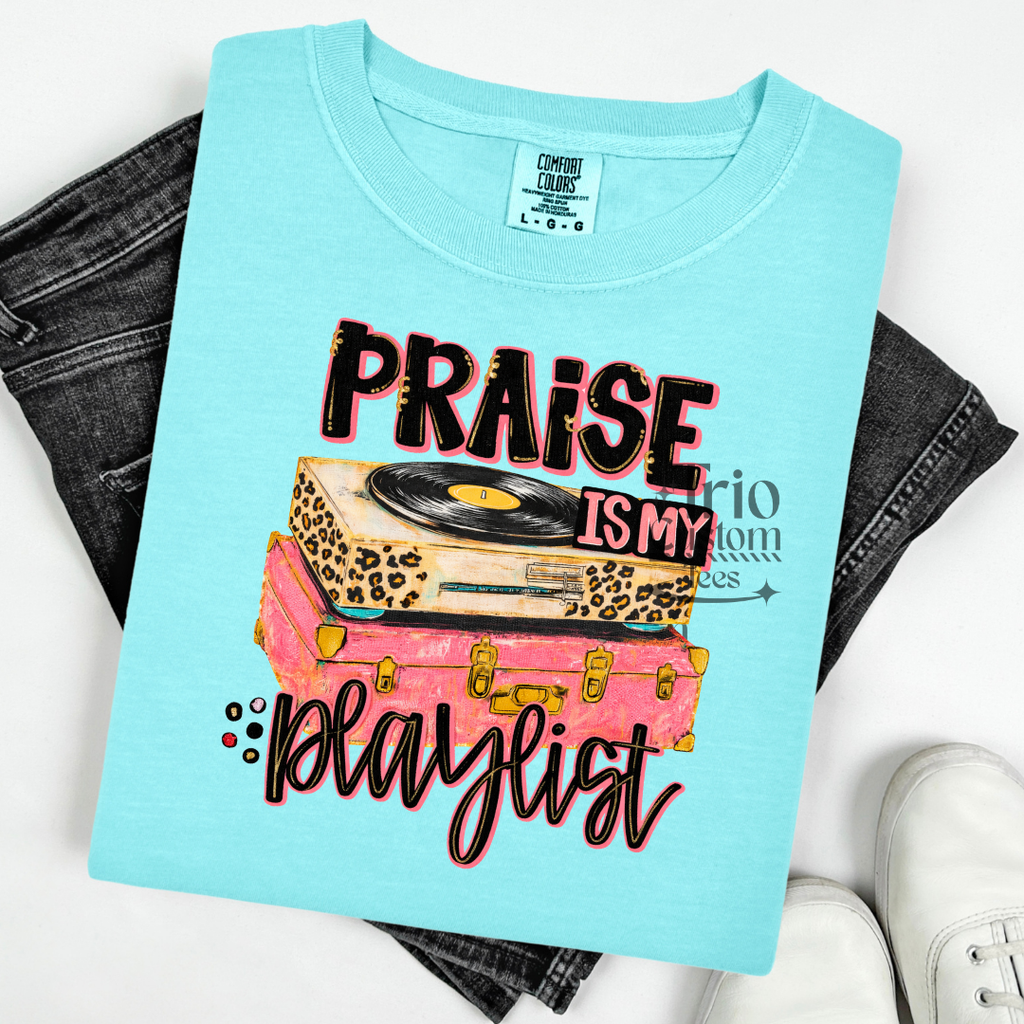 Praise is my playlist bible shirt comfort colors