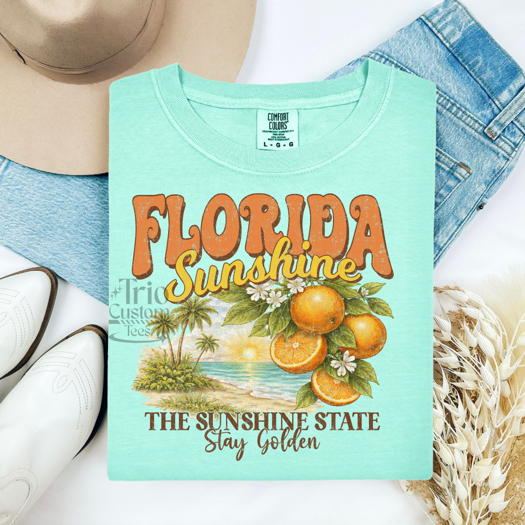 Florida Georgia Ohio Texas Tennessee State Tee Shirt Comfort Colors