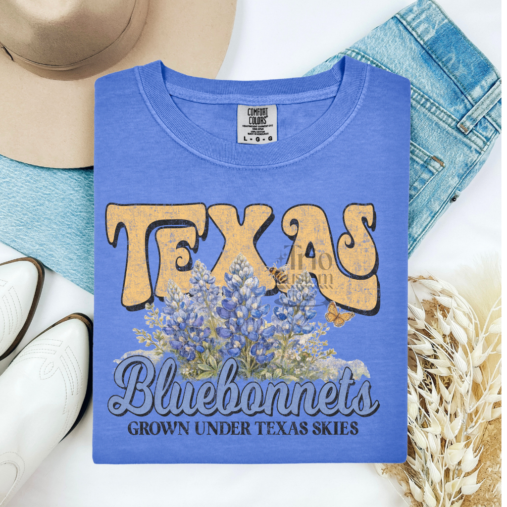 Florida Georgia Ohio Texas Tennessee State Tee Shirt Comfort Colors