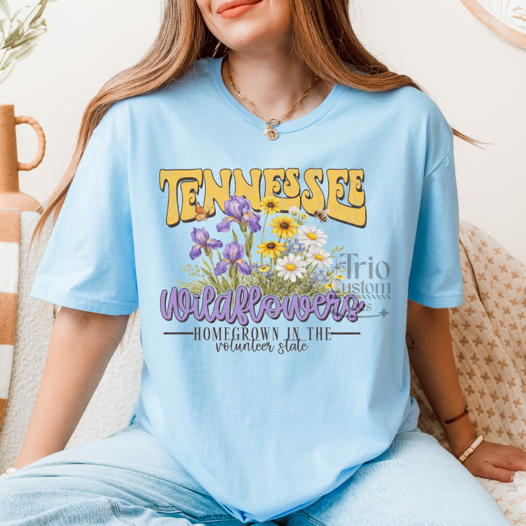 Florida Georgia Ohio Texas Tennessee State Tee Shirt Comfort Colors