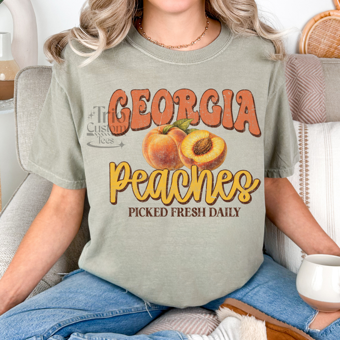 Florida Georgia Ohio Texas Tennessee State Tee Shirt Comfort Colors