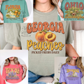 Florida Georgia Ohio Texas Tennessee State Tee Shirt Comfort Colors